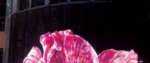 led屏為什么會流行起來？都有什么特點？