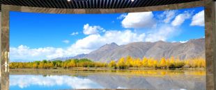 小間距l(xiāng)ed顯示屏未來的發(fā)展前景怎么樣？