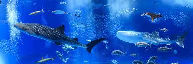 水族館、海洋館過(guò)濾